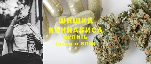 apvp Рославль