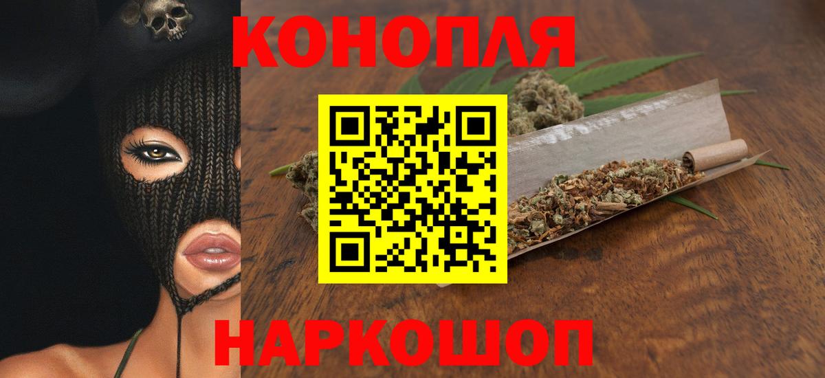 Канабис конопля Россия